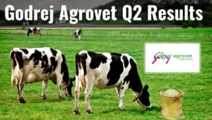 Godrej Agrovet Q2 Results