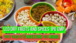 LEO Dry Fruits And Spices IPO GMP